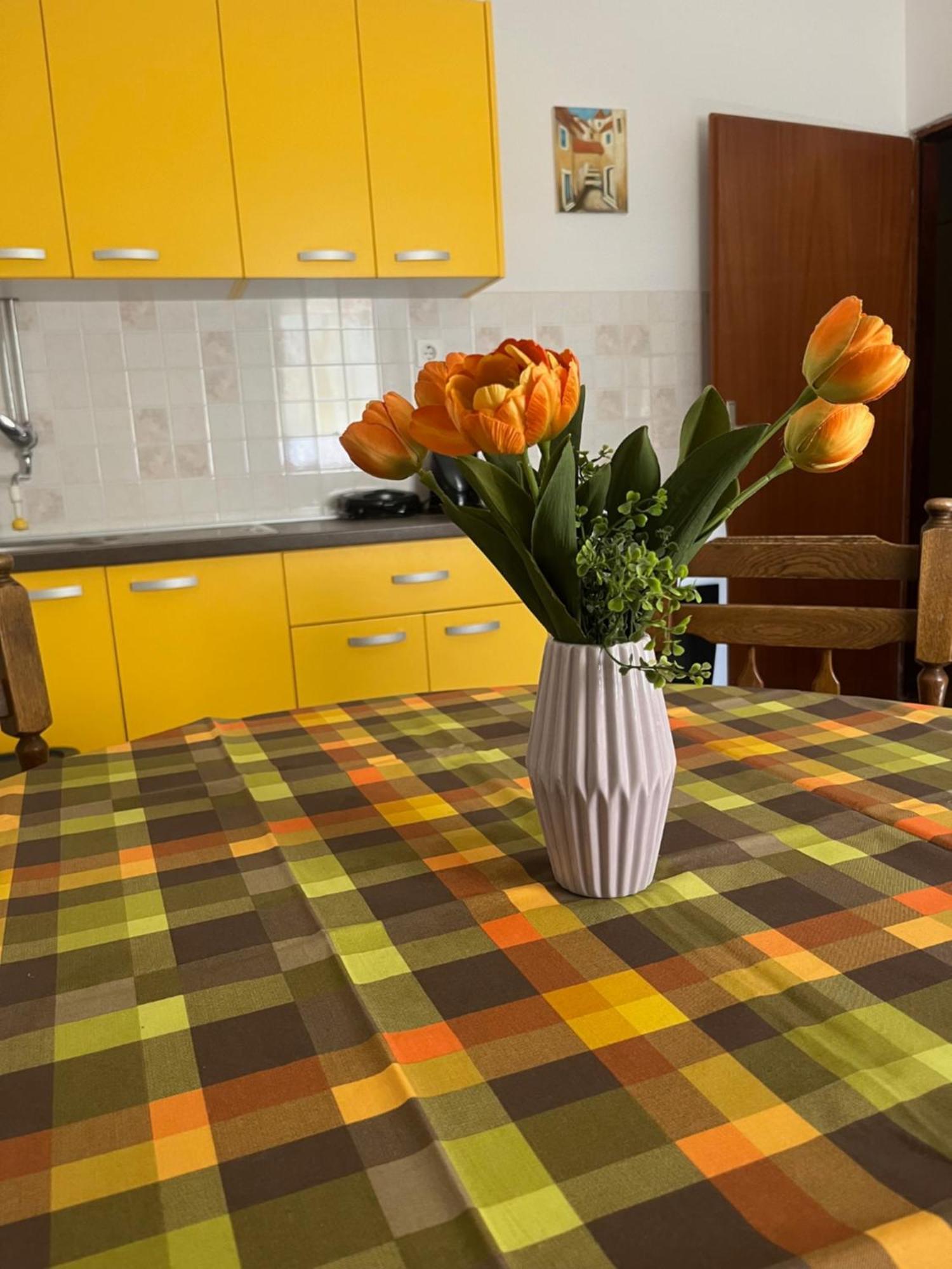 Apartmani Mila باغ المظهر الخارجي الصورة